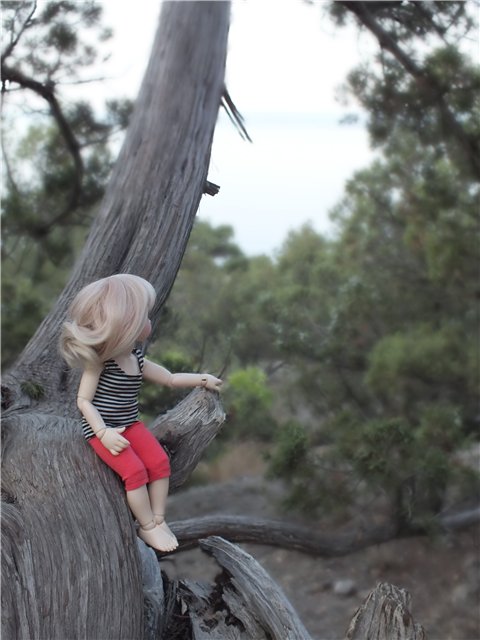 Крымские каникулы для Оливки | Бэйбики Крымские каникулы для Оливки