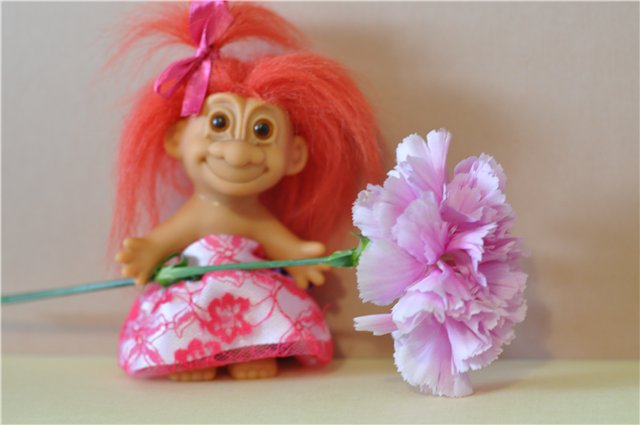 Тролесвадьба или новые друзья из старого чемодана