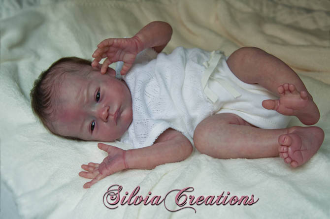 Новый молд Will от Натали Шолль