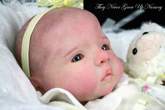 Новый молд куклы реборн Анна-Лиза от Дианны Эффнер (фото 3)