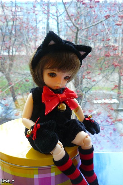 Планета Кошек. LittleFee Ante Elf Зарянка и LittleFee Leah Миланка | Бэйбики Планета Кошек. LittleFee Ante Elf Зарянка и LittleFee Leah Миланка