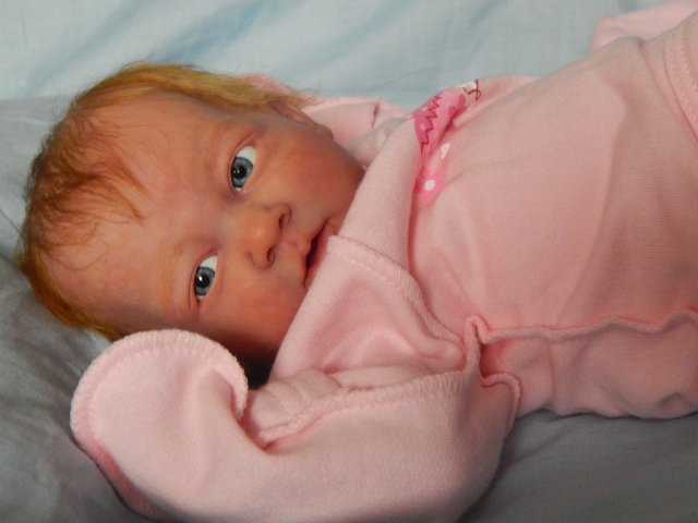 Реборн Рыжик. Моя переделочка из куклы беренжер (фото 6)