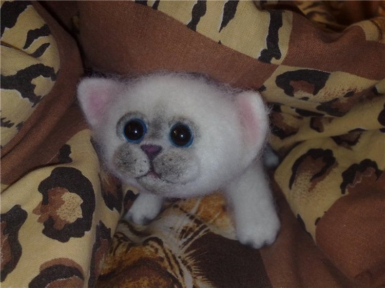 Котенок из шерсти! Сухое валяние (фото 4)