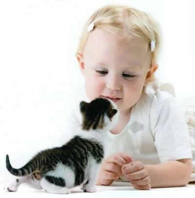 Для души и отличного настроения (фото 6)