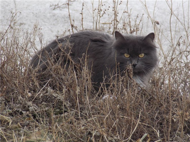 Гелькина прогулка (кукла Готц)