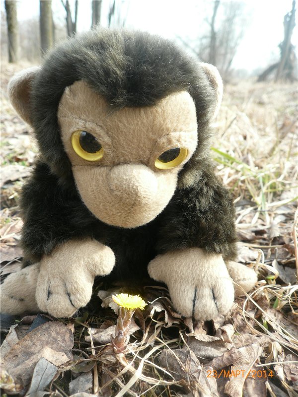 Предпраздничное настроение