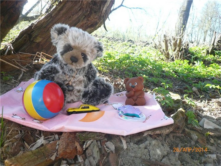 Про Мишку. Коллекционный Мишка Панда от Charlie Bears