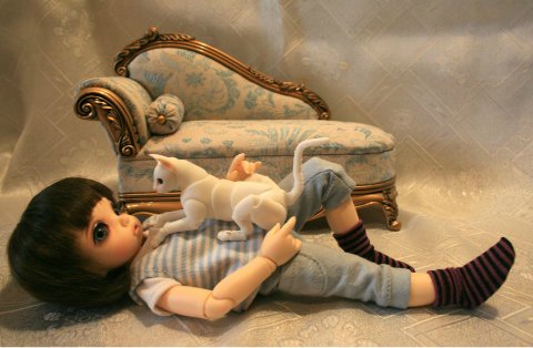 БЖД питомец - кот Као-Мани (фото 9)