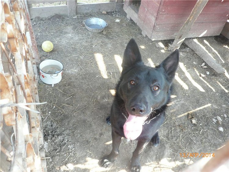 Вербное воскресенье. Кукла Лёля, Ли Миддлетон | Бэйбики Вербное воскресенье. Кукла Лёля, Ли Миддлетон