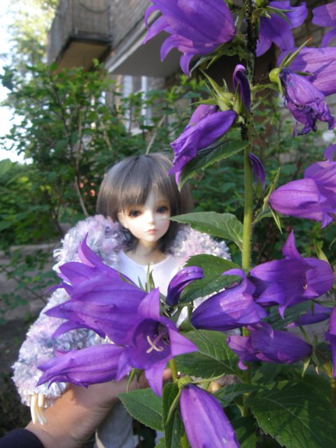 Холодное лето в цветах — Гибридизация кукол BJD (БЖД): пересадка головы