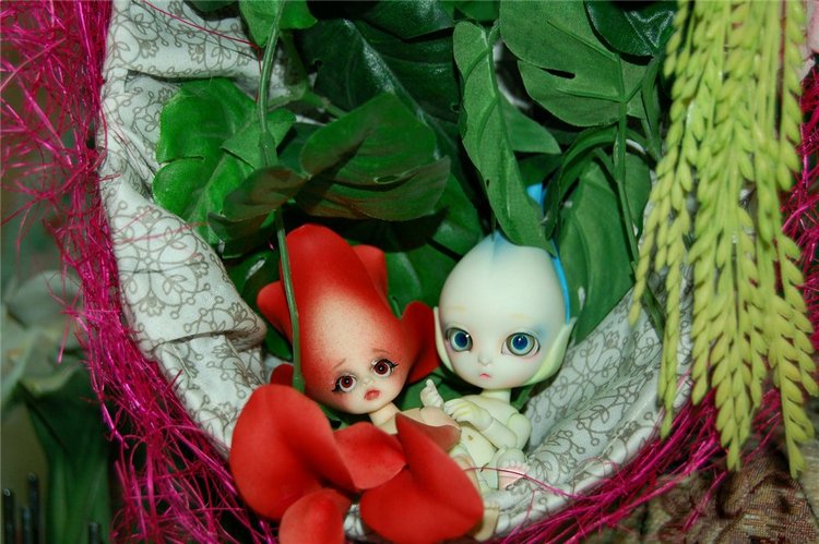 Цветы Dollzone, продолжение (фото 8)