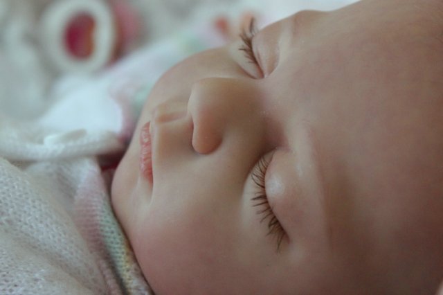 Одинаковые дочки... Куколки реборн Виктории Вишни