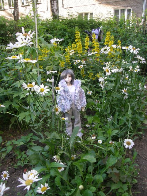 Холодное лето в цветах — Гибридизация кукол BJD (БЖД): пересадка головы (фото 4)