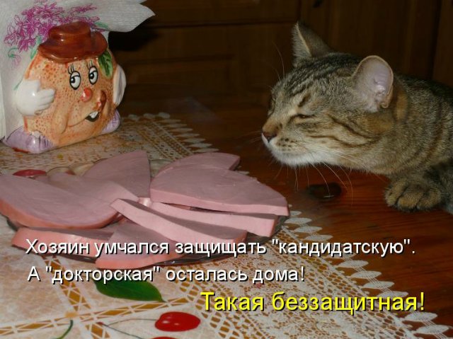 Море позитива) Для поднятия настроения (осторожно! много фото)))) | Бэйбики Море позитива) Для поднятия настроения (осторожно! много фото)))) (фото 7)