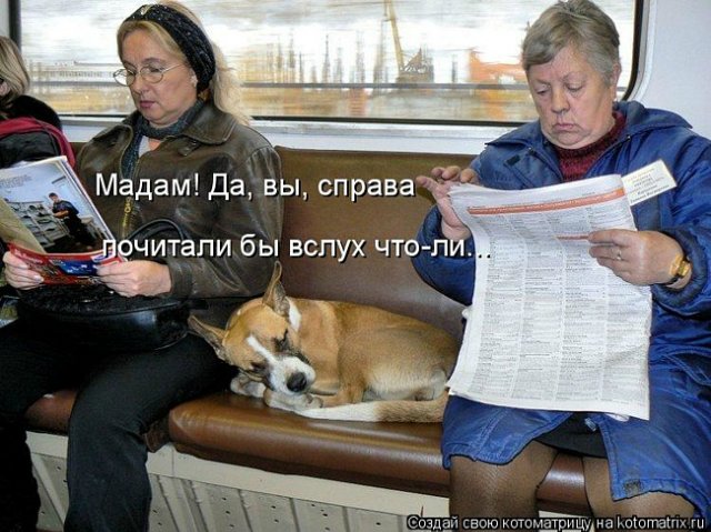 Понедельник - день тяжёлый | Бэйбики Понедельник - день тяжёлый