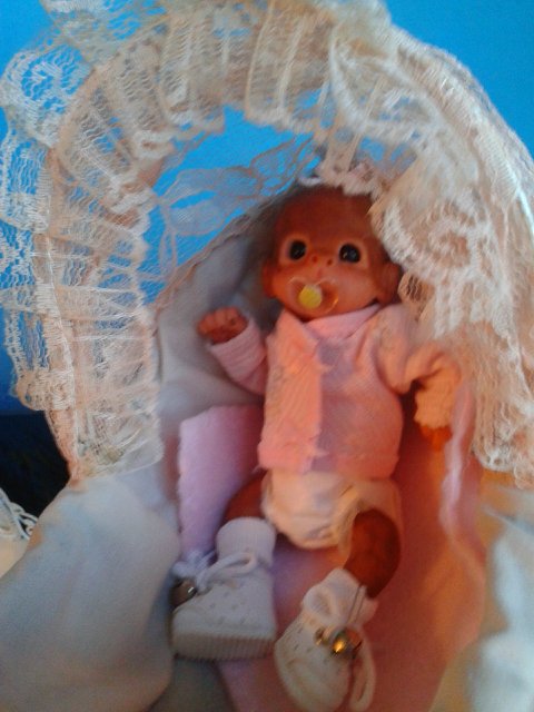 Мини Зизи — Куклы Реборн (Reborn): домашние фото (фото 10)