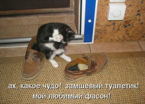 Море позитива) Для поднятия настроения (осторожно! много фото)))) | Бэйбики Море позитива) Для поднятия настроения (осторожно! много фото))))