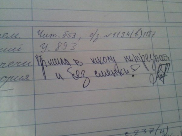 О веселом! Шедевры школьных дневников) Осторожно! очень смешно)