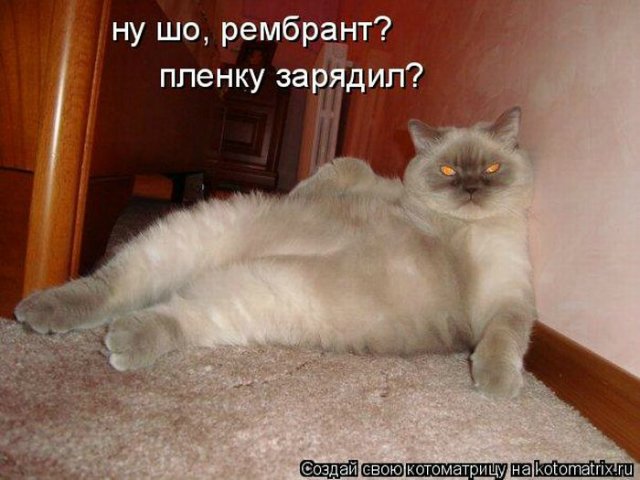 Море позитива) Для поднятия настроения (осторожно! много фото)))) | Бэйбики Море позитива) Для поднятия настроения (осторожно! много фото))))