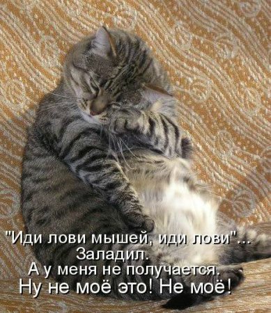 Море позитива) Для поднятия настроения (осторожно! много фото)))) | Бэйбики Море позитива) Для поднятия настроения (осторожно! много фото))))