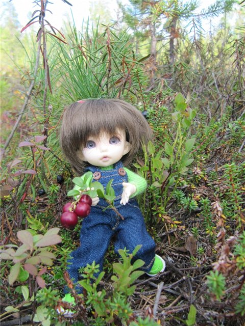 Как Майка за ягодами ходила. Кукла БЖД | Бэйбики Как Майка за ягодами ходила. Кукла БЖД (фото 4)