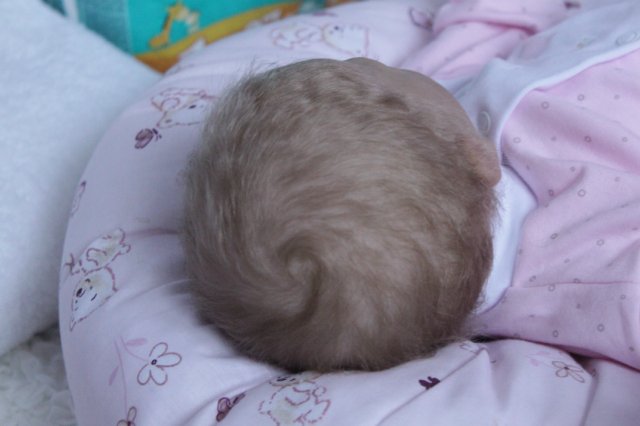 Детка Скарлет... Куколка реборн Виктории Вишни