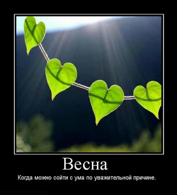 Весна.... как много в этом слове