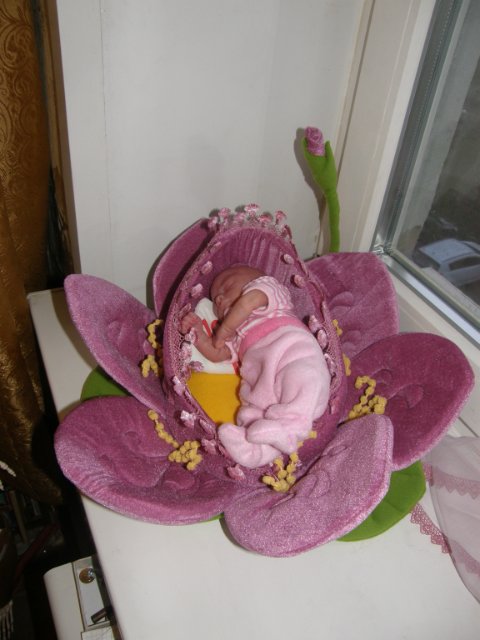 Малышня и люлечки-колясочки