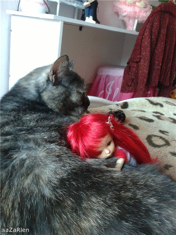 Бонняша (Fairyland Pukifee Bonnie) (фото 4)