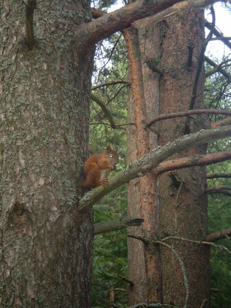 Назад в прошлое | Бэйбики Назад в прошлое — Болталка и разговоры обо всем: жизнь