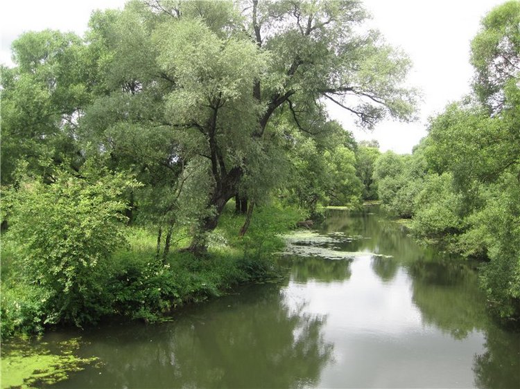 Моя маленькая художница. Кукла Kaethe Kruse Таточка | Бэйбики Моя маленькая художница. Кукла Kaethe Kruse Таточка (фото 3)