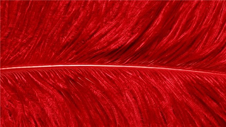 Черное и красное | Бэйбики Черное и красное — Одежда и обувь для кукол своими руками: фото