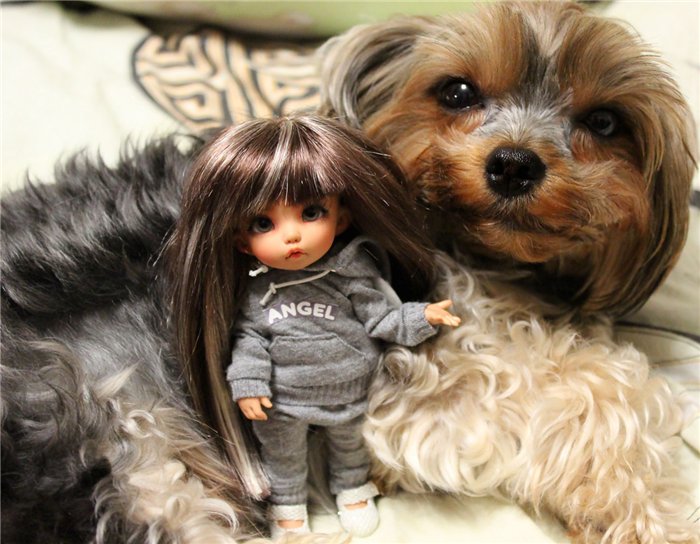 Печальный вечер со счастливым концом :) (Fairyland, AquariusDoll)