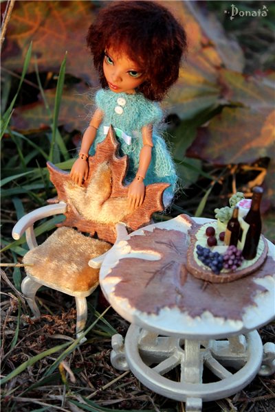 Амигатомания набирает обороты (фото 8)