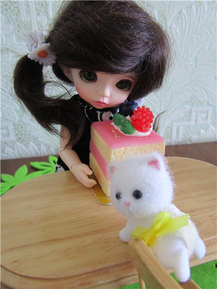 Маленькая история про маленького котенка