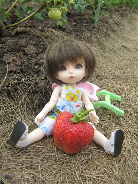 Воспоминания о лете. Куклы БЖД | Бэйбики Воспоминания о лете. Куклы БЖД (фото 9)