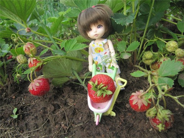 Воспоминания о лете. Куклы БЖД | Бэйбики Воспоминания о лете. Куклы БЖД (фото 8)