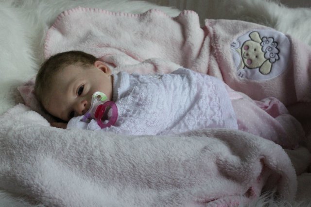 Розана - цветочек, роза... Куколка реборн Виктории Вишни