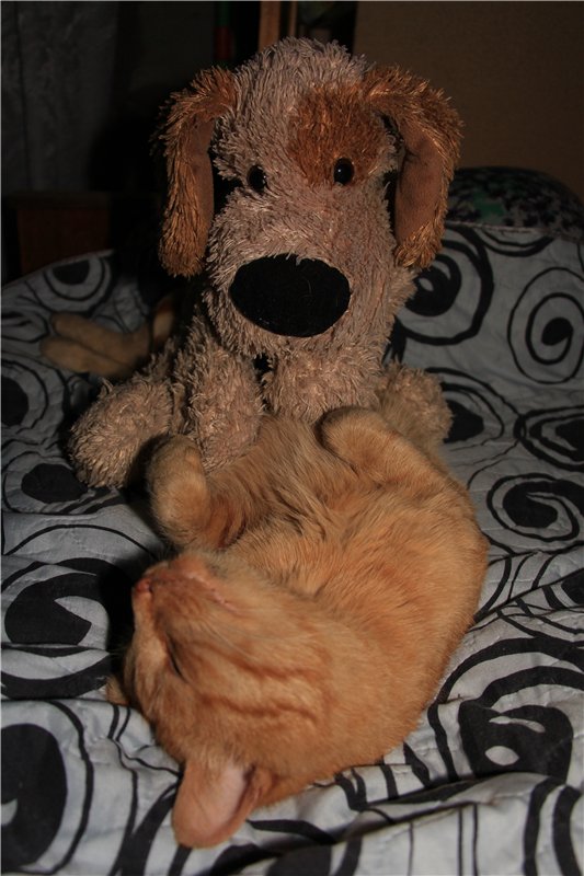 Во что играют наши дети — Болталка и разговоры обо всем: жизнь (фото 4)