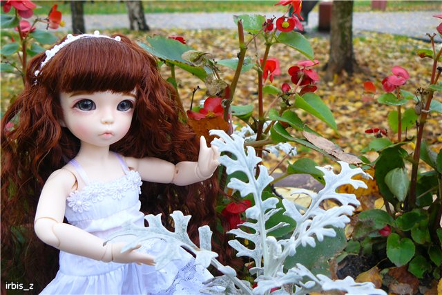 Вот так погуляли или Как у нас появилась кукла БЖД LittleFee Ante Elf