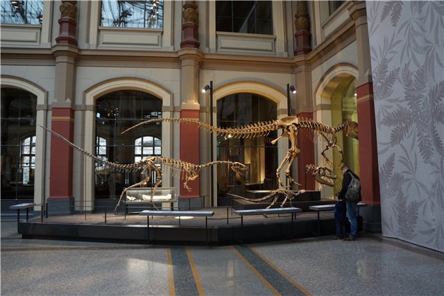 Взятие Берлина. Часть 3. Аква-дом, Улыбка бегемота и Прототип куколок Шильдкрот (фото 5)