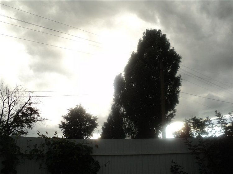 Ждем лета и верим в чудо! Куклы Готц и наряды (фото 9)