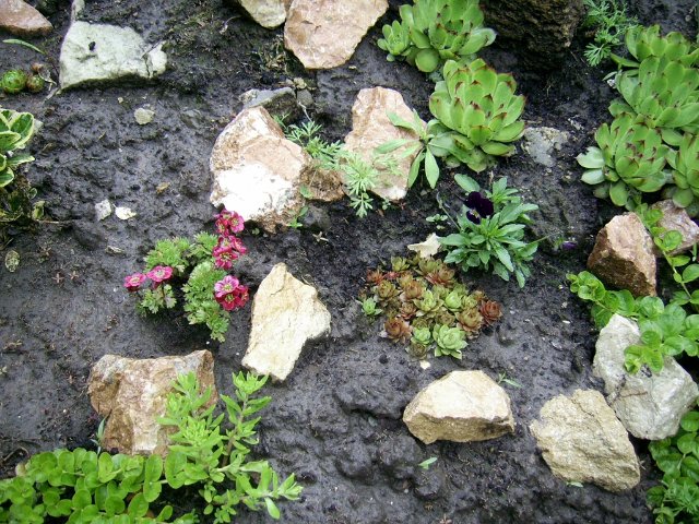 Прогулка между каплями дождя :) Коллекционная кукла Пиппина от Сюзан Липпл