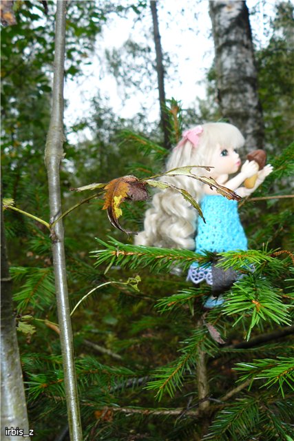 Осенняя сказка. Часть 3(заключительная). PukiFee Ante Ариэтти, PukiFee Bonnie Ариэль | Бэйбики Осенняя сказка. Часть 3(заключительная). PukiFee Ante Ариэтти, PukiFee Bonnie Ариэль