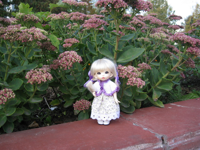 Золотая осень или прогулка по городу БЖД Пукифи Анте -- Элис | Бэйбики Золотая осень или прогулка по городу БЖД Пукифи Анте -- Элис