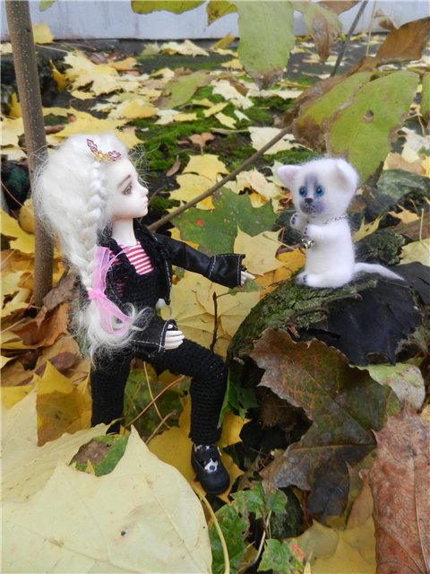 Возвращение Элизы (БЖД от Планетдолл) (фото 8)