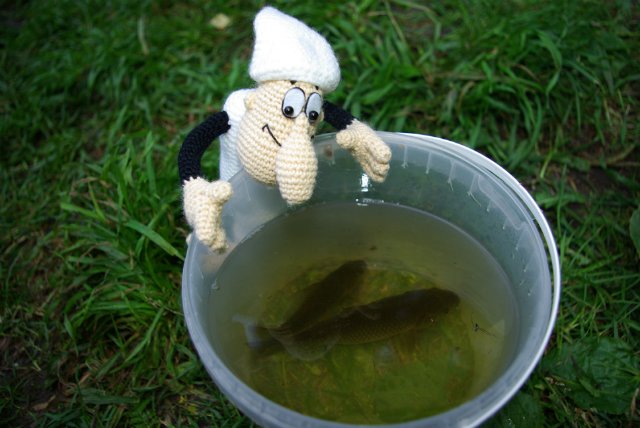 Как Кржемелик и Вахмурка ходили рыбу ловить