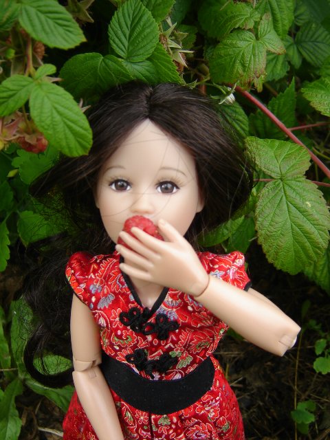 Компромисс: моя первая БЖД: Люси - Senson doll, в гостях на даче