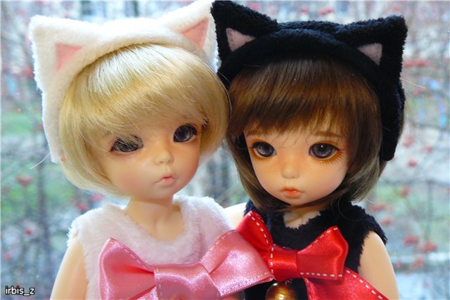 Планета Кошек. LittleFee Ante Elf Зарянка и LittleFee Leah Миланка