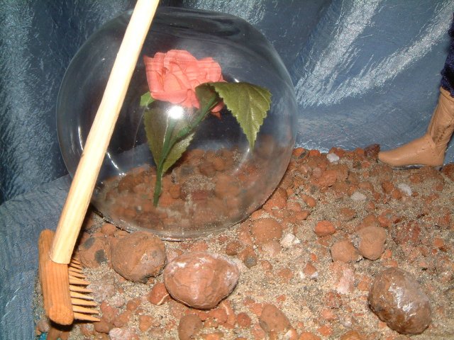 "...тот, кто любит, всегда отличит свою розу...даже с закрытыми глазами..." Последний полет